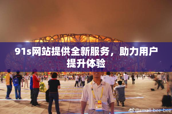 91s网站提供全新服务，助力用户提升体验