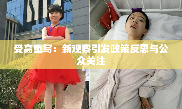 受高重写：新观察引发政策反思与公众关注