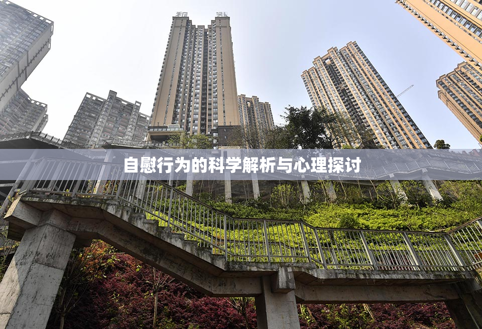 自慰行为的科学解析与心理探讨