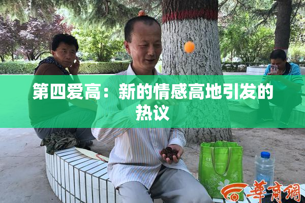 第四爱高：新的情感高地引发的热议