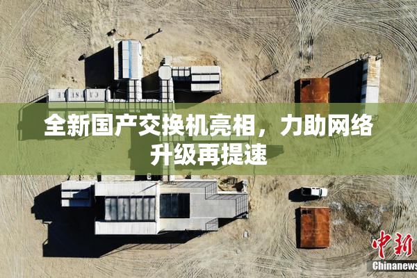 全新国产交换机亮相，力助网络升级再提速