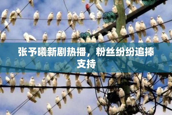 张予曦新剧热播，粉丝纷纷追捧支持