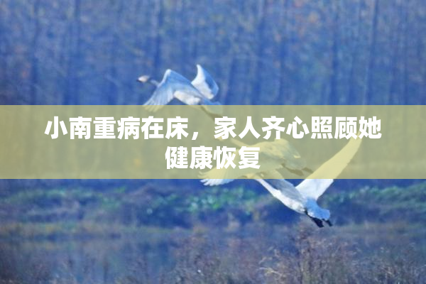 小南重病在床，家人齐心照顾她健康恢复