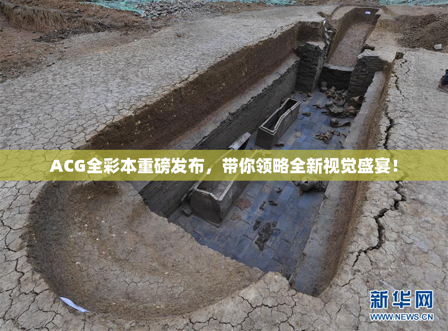 ACG全彩本重磅发布，带你领略全新视觉盛宴！