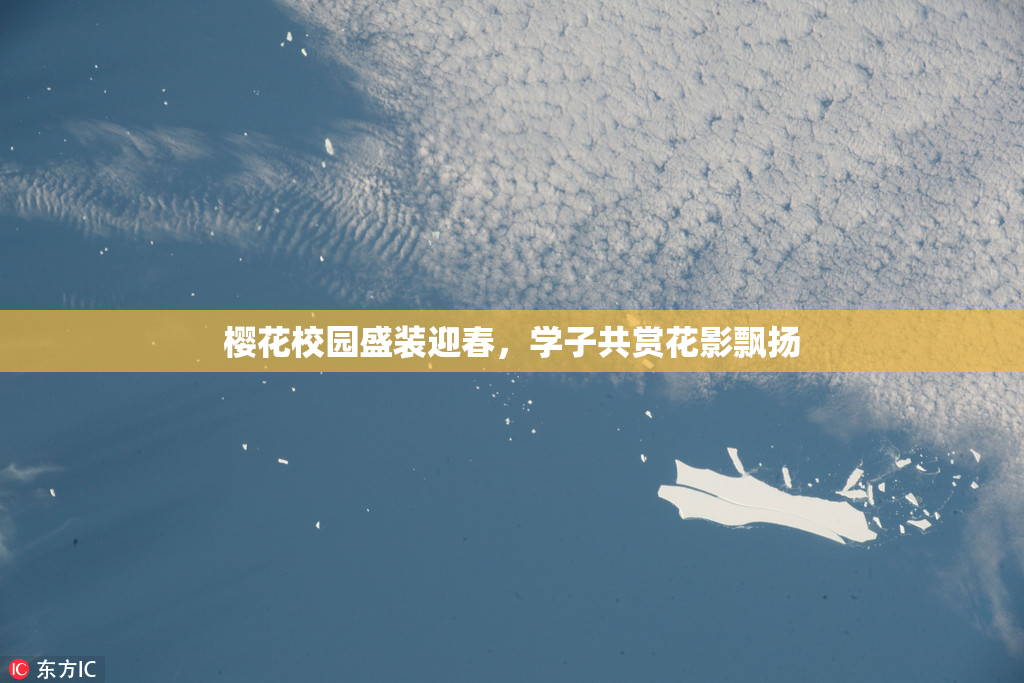 樱花校园盛装迎春，学子共赏花影飘扬