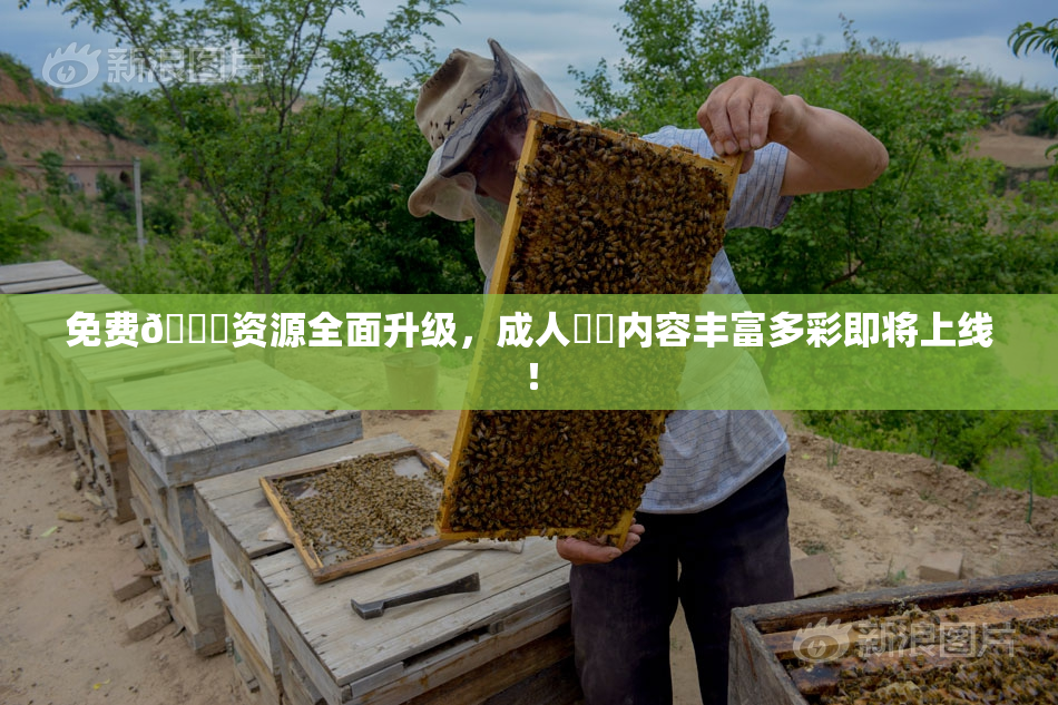免费🔞资源全面升级，成人❌‌内容丰富多彩即将上线！