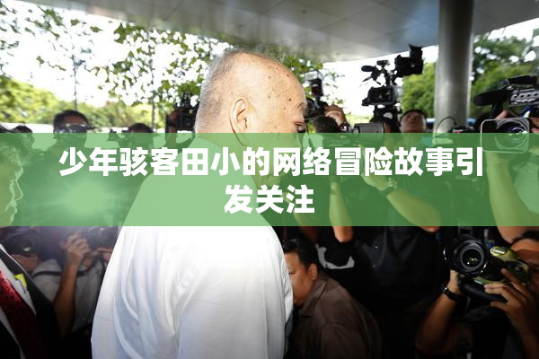 少年骇客田小的网络冒险故事引发关注