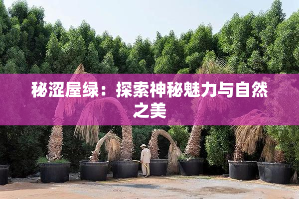 秘涩屋绿：探索神秘魅力与自然之美