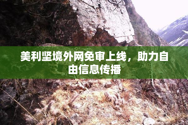 美利坚境外网免审上线，助力自由信息传播