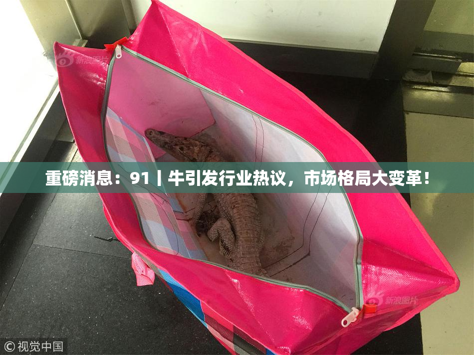 重磅消息：91丨牛引发行业热议，市场格局大变革！