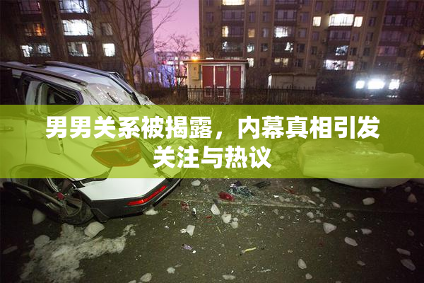 男男关系被揭露，内幕真相引发关注与热议