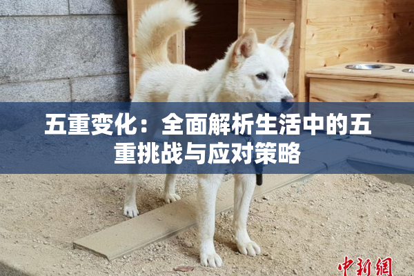 五重变化：全面解析生活中的五重挑战与应对策略
