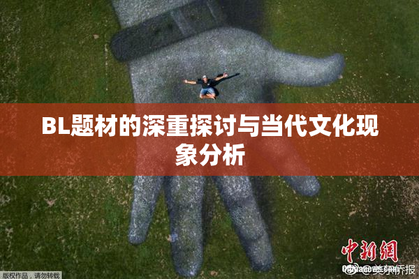 BL题材的深重探讨与当代文化现象分析