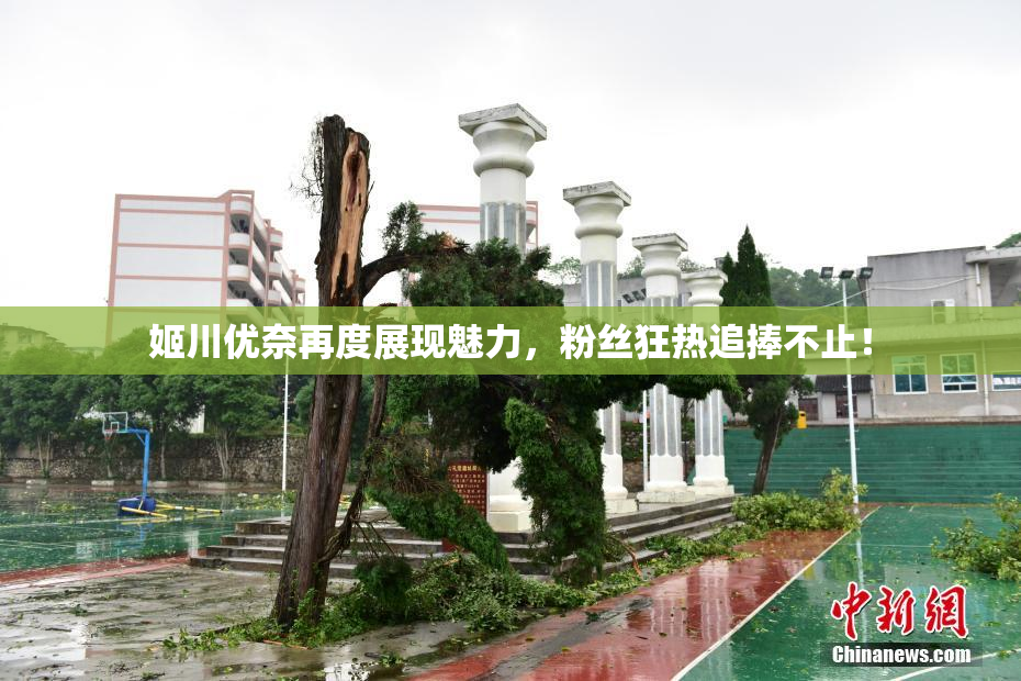 姬川优奈再度展现魅力，粉丝狂热追捧不止！