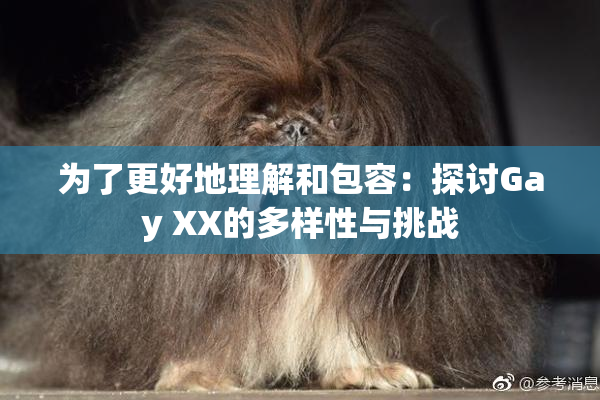 为了更好地理解和包容：探讨Gay XX的多样性与挑战