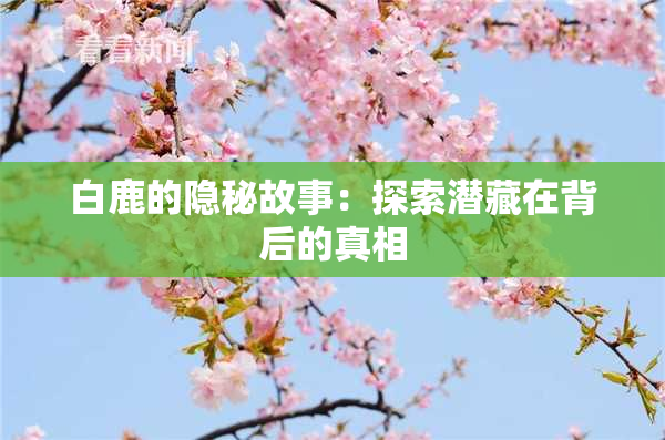 白鹿的隐秘故事：探索潜藏在背后的真相