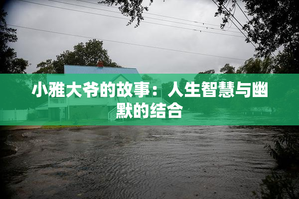 小雅大爷的故事：人生智慧与幽默的结合