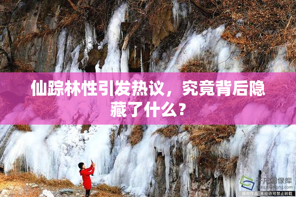 仙踪林性引发热议，究竟背后隐藏了什么？
