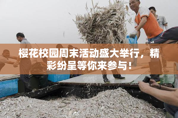 樱花校园周末活动盛大举行，精彩纷呈等你来参与！