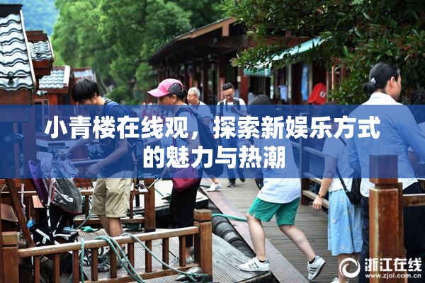 小青楼在线观，探索新娱乐方式的魅力与热潮
