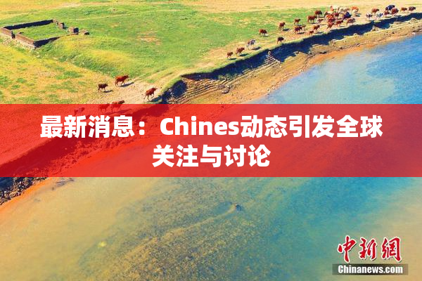 最新消息：Chines动态引发全球关注与讨论