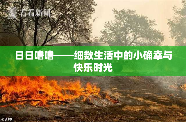 日日噜噜——细数生活中的小确幸与快乐时光