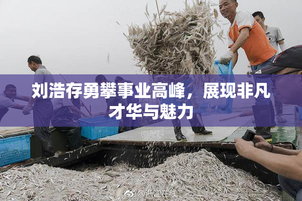 刘浩存勇攀事业高峰，展现非凡才华与魅力