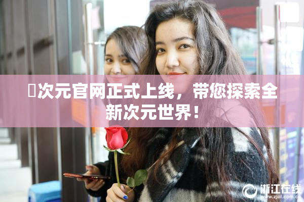 囧次元官网正式上线，带您探索全新次元世界！