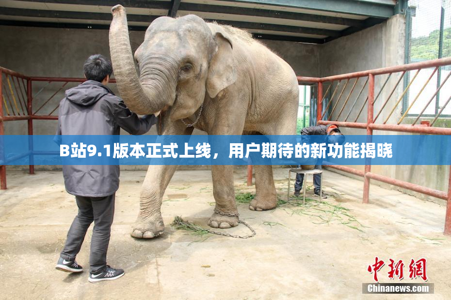 B站9.1版本正式上线，用户期待的新功能揭晓
