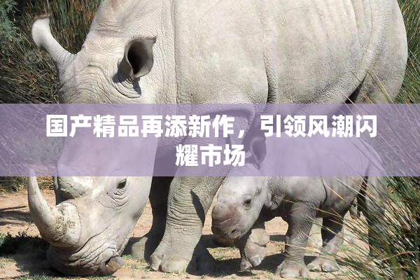 国产精品再添新作，引领风潮闪耀市场