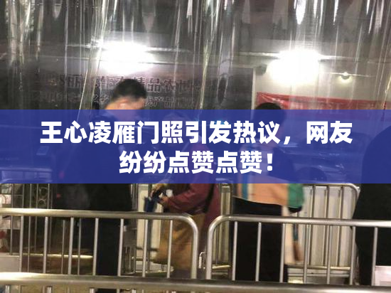 王心凌雁门照引发热议，网友纷纷点赞点赞！