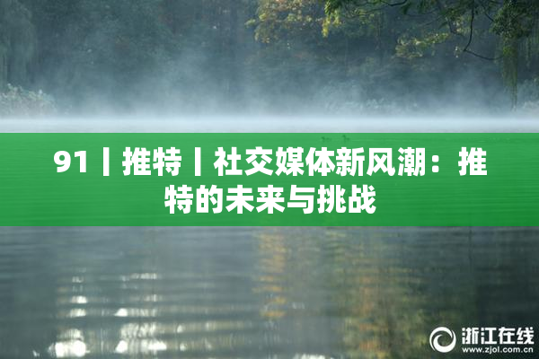 91丨推特丨社交媒体新风潮：推特的未来与挑战