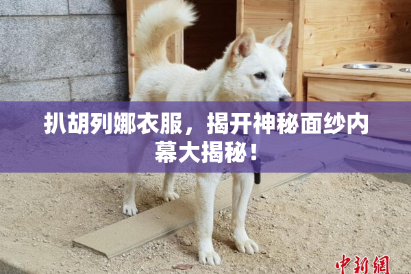 扒胡列娜衣服，揭开神秘面纱内幕大揭秘！