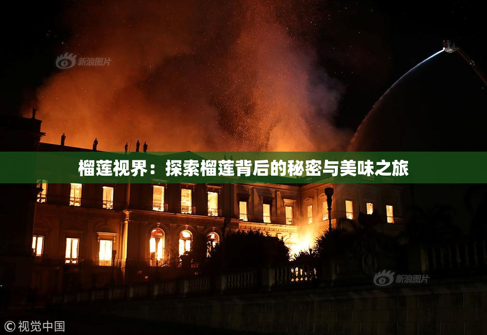 榴莲视界：探索榴莲背后的秘密与美味之旅