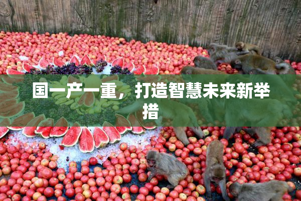 国一产一重，打造智慧未来新举措