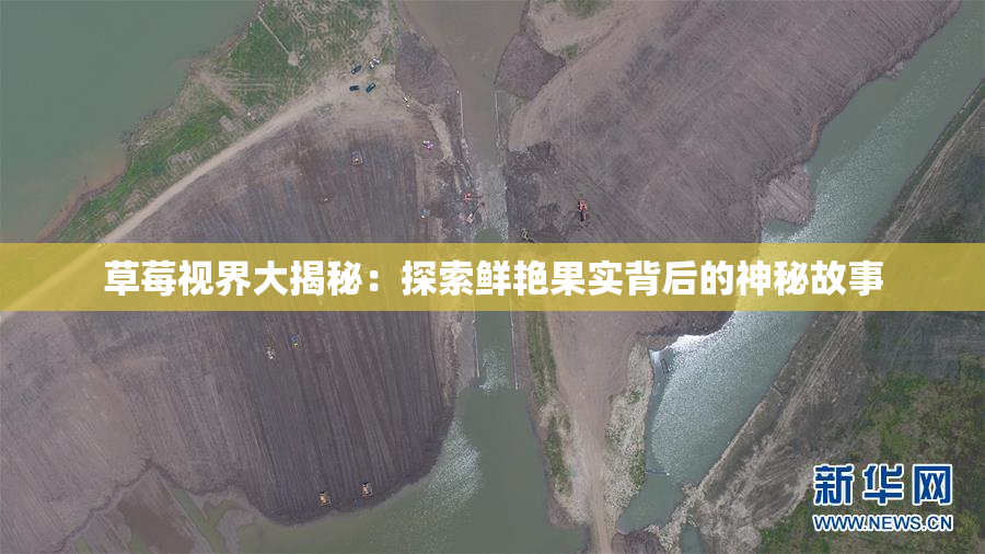 草莓视界大揭秘：探索鲜艳果实背后的神秘故事