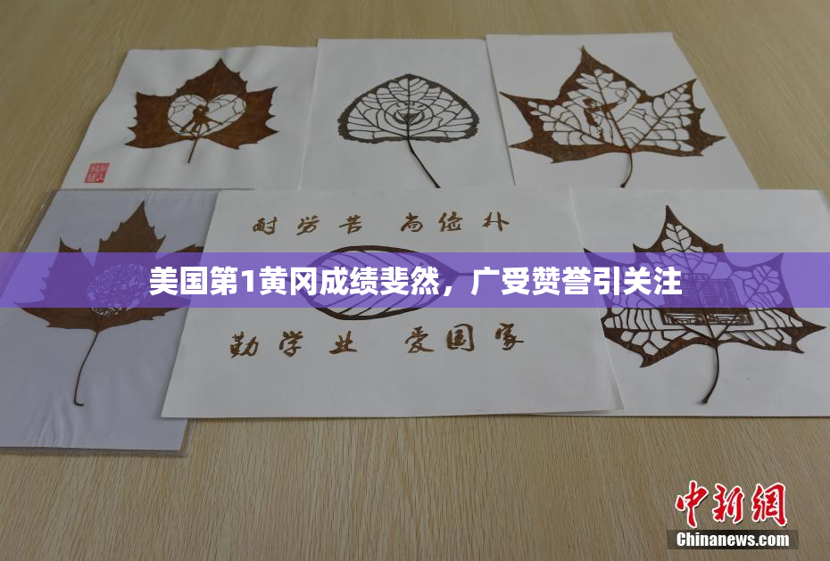 美国第1黄冈成绩斐然，广受赞誉引关注