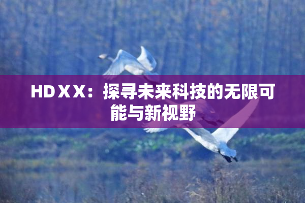 HDⅩX：探寻未来科技的无限可能与新视野