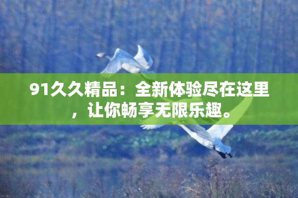 91久久精品：全新体验尽在这里，让你畅享无限乐趣。