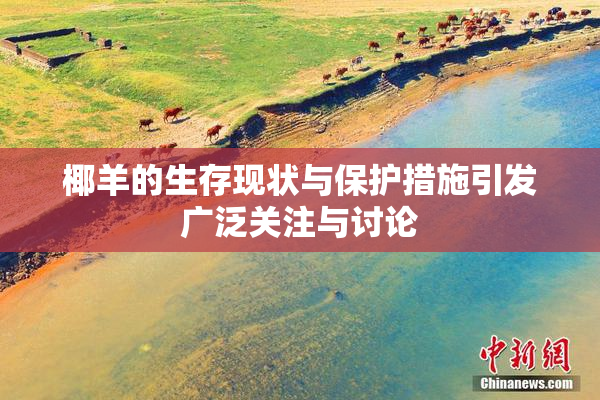 椰羊的生存现状与保护措施引发广泛关注与讨论