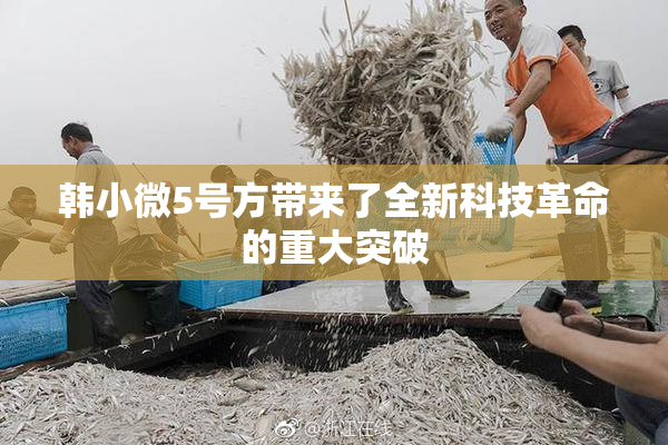 韩小微5号方带来了全新科技革命的重大突破