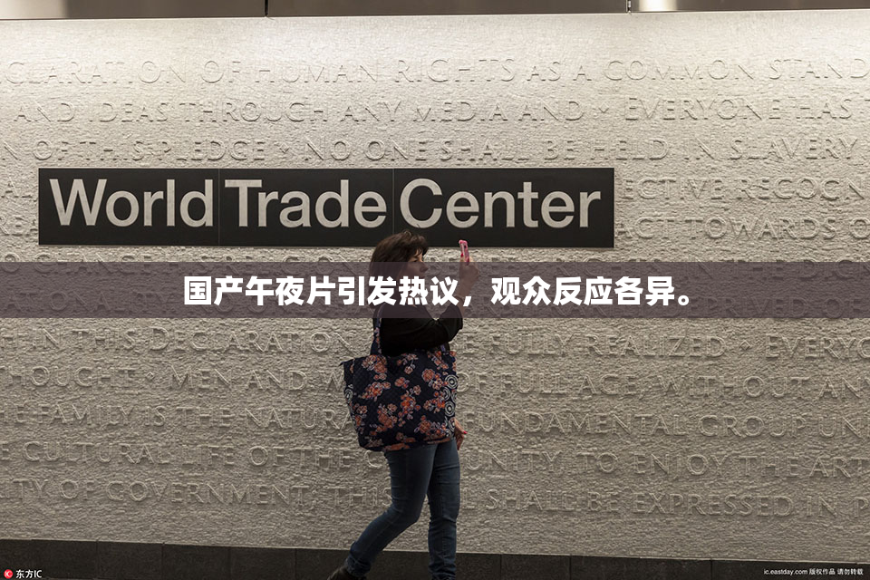 国产午夜片引发热议，观众反应各异。