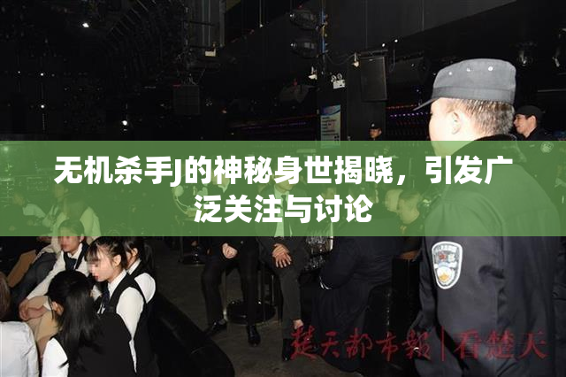 无机杀手J的神秘身世揭晓，引发广泛关注与讨论
