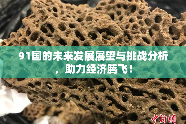 91国的未来发展展望与挑战分析，助力经济腾飞！