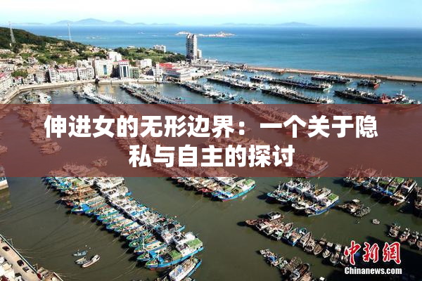 伸进女的无形边界：一个关于隐私与自主的探讨