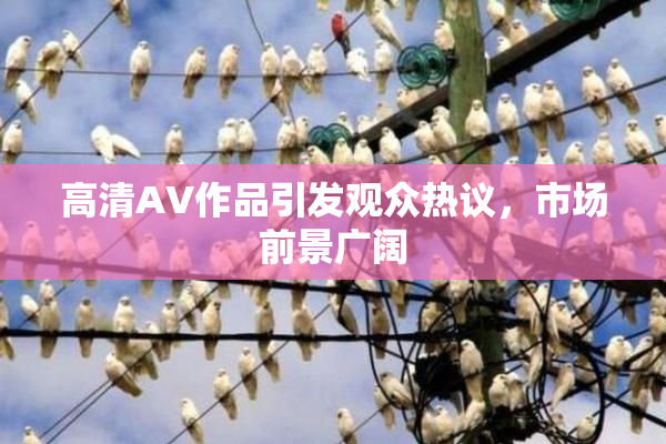 高清AV作品引发观众热议，市场前景广阔