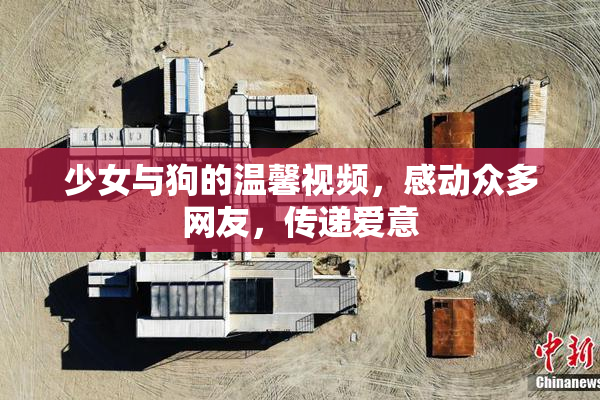 少女与狗的温馨视频，感动众多网友，传递爱意