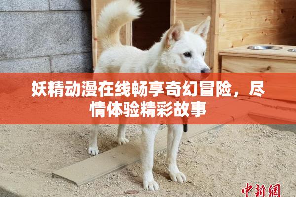 妖精动漫在线畅享奇幻冒险，尽情体验精彩故事