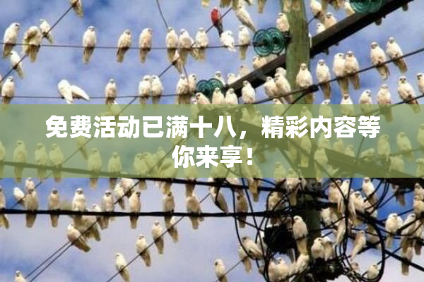 免费活动已满十八，精彩内容等你来享！