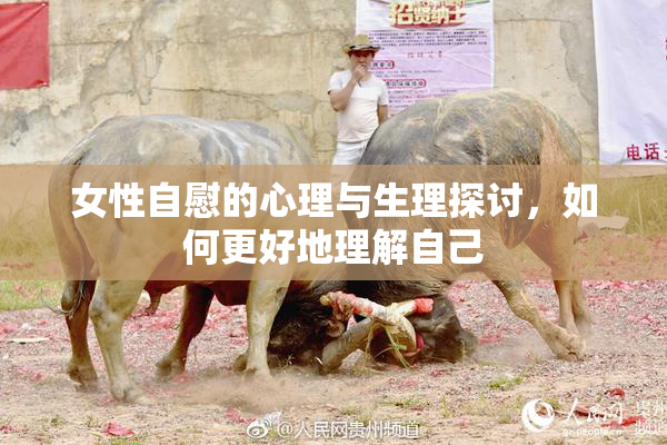 女性自慰的心理与生理探讨，如何更好地理解自己